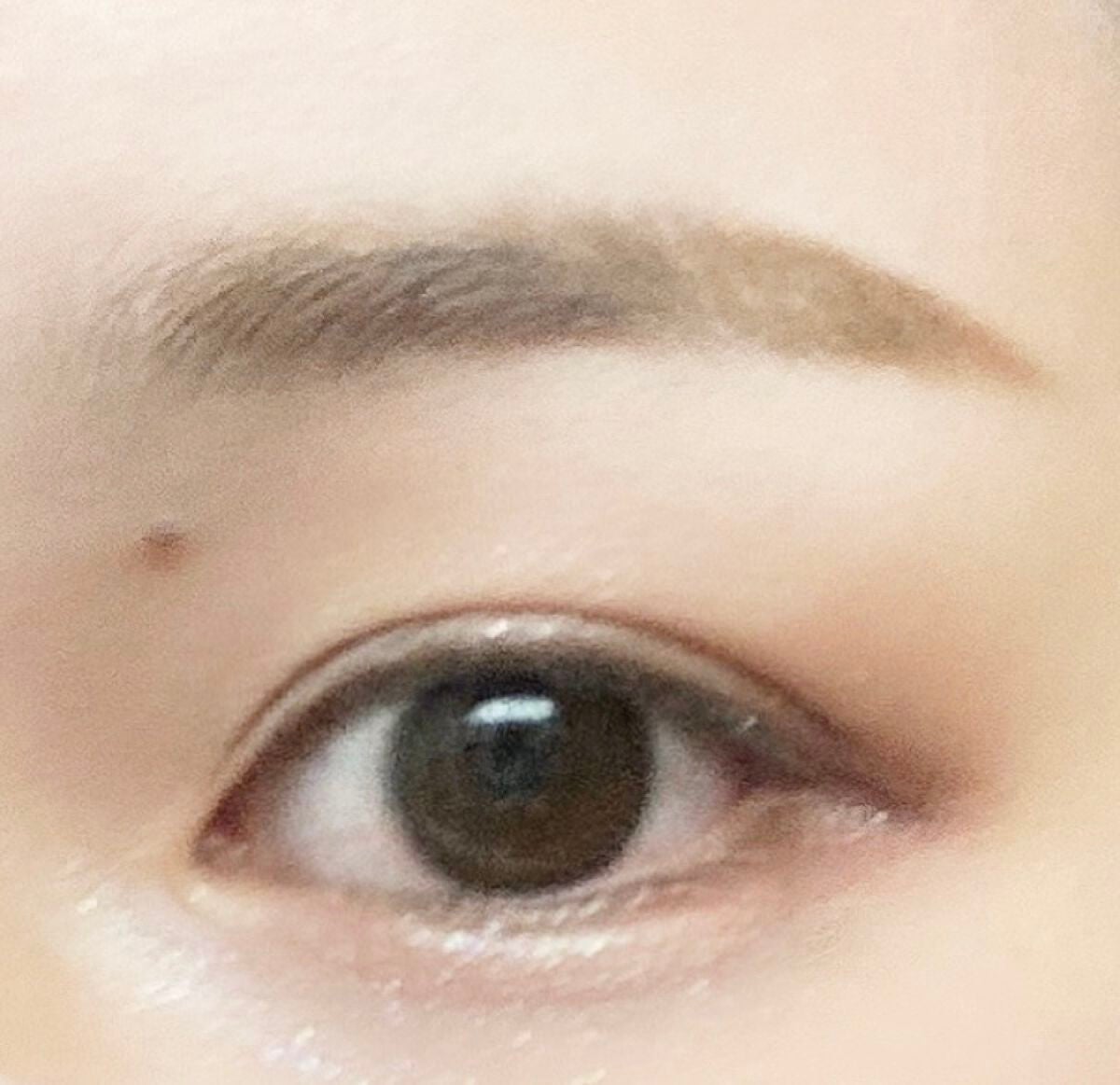 ノーズ&アイブロウパウダー/CEZANNE/パウダーアイブロウを使ったクチコミ(1枚目)