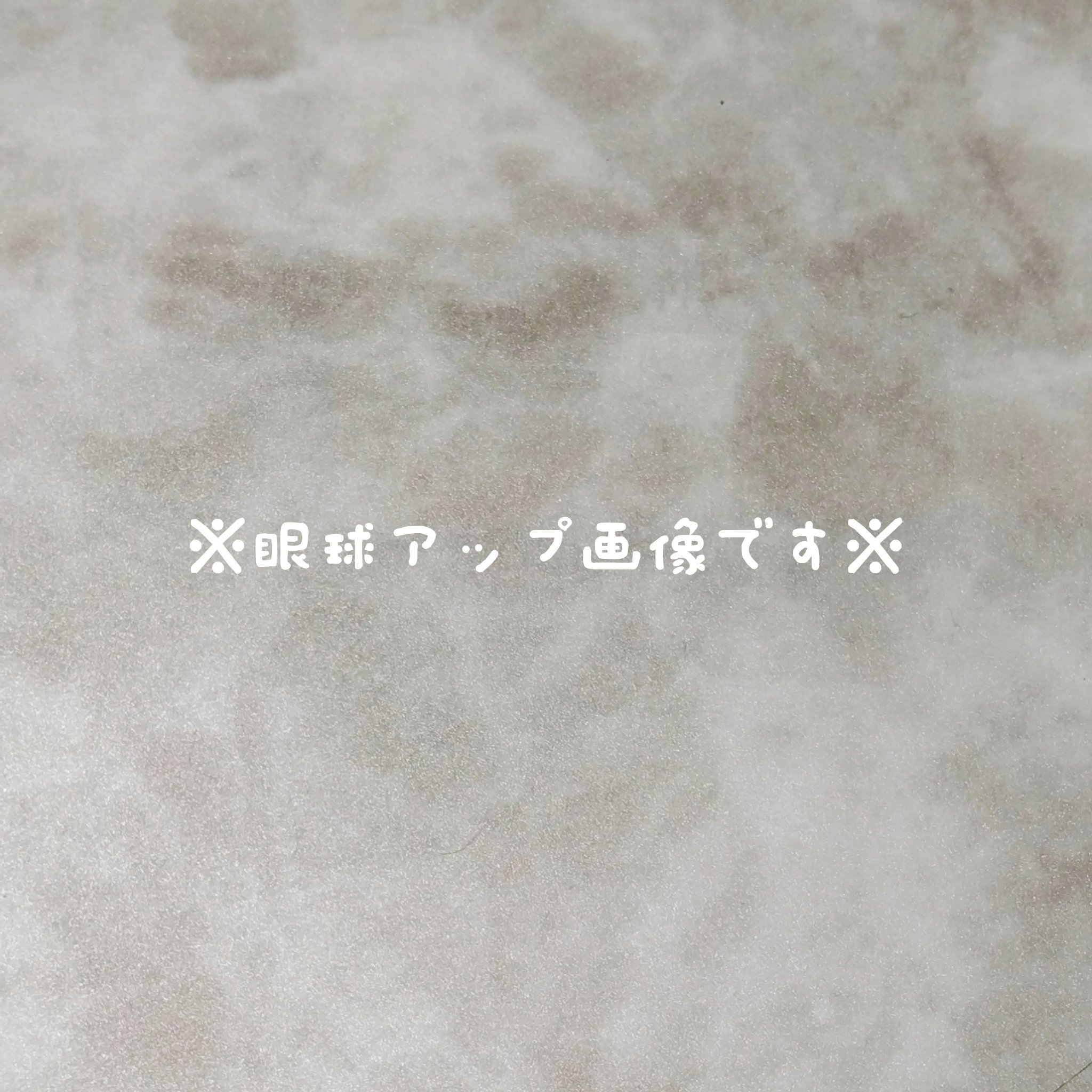 JINS1DAYCOLOR 02  FOREST BLACK(POINT MAKE UP)/JINS/ワンデー（１DAY）カラコンを使ったクチコミ（2枚目）