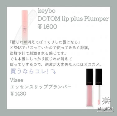 ドトムリッププラスプランパー/keybo/リップグロスを使ったクチコミ（2枚目）