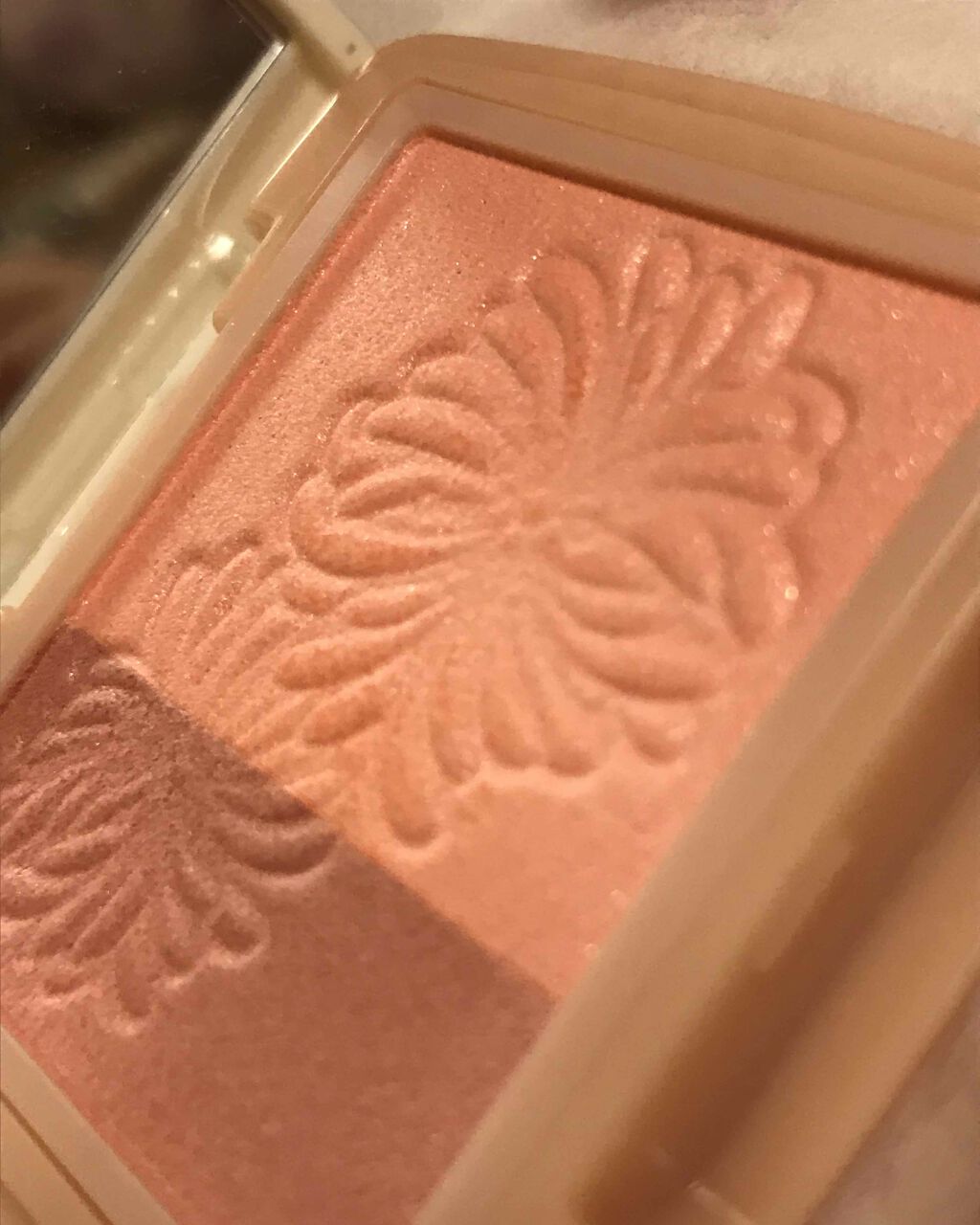 リップスティック N/PAUL & JOE BEAUTE/口紅を使ったクチコミ（3枚目）