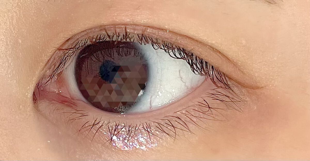 ãå¯çã¢ã€ã©ã€ããŒãã·ã§ãŒãçãªããã/ããžã£ãŽã¥/ãªãããã¢ã€ã©ã€ããŒã䜿ã£ãã¯ãã³ãïŒ4æç®ïŒ