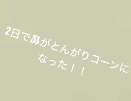 ノーズトレーナー/DAISO/その他スキンケアグッズを使ったクチコミ(4枚目)