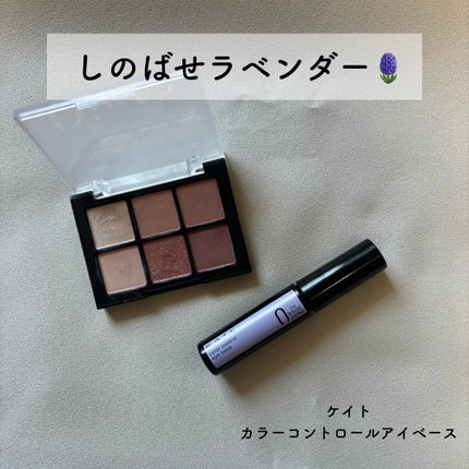 ケイト カラーコントロールアイベース/KATE/アイシャドウベースを使ったクチコミ(1枚目)