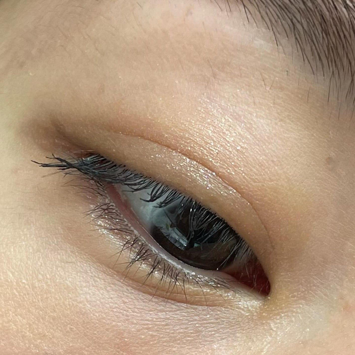 アイスカルプト/shu uemura/アイシャドウパレットを使ったクチコミ(7枚目)