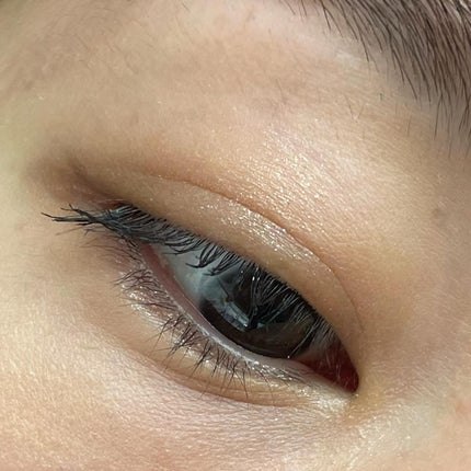 アイスカルプト/shu uemura/アイシャドウパレットを使ったクチコミ(7枚目)