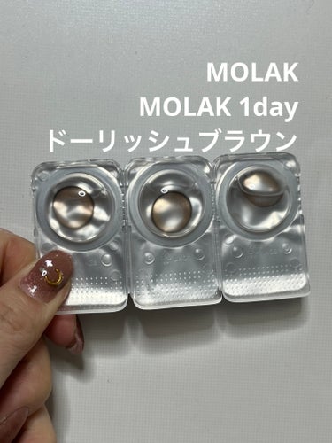 MOLAK 1day ドーリッシュブラウン/MOLAK/ワンデー（１DAY）カラコンの画像