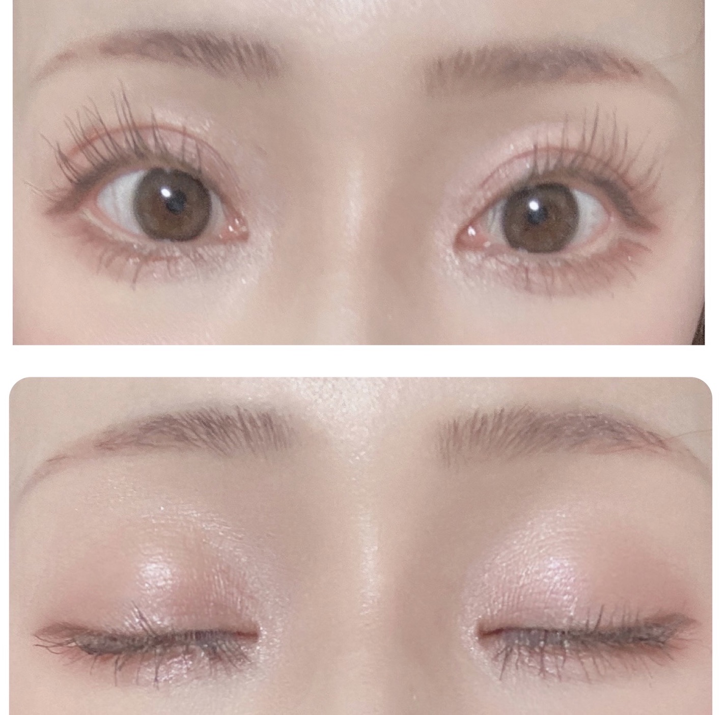 ノーズ＆アイブロウパウダー/CEZANNE/パウダーアイブロウを使ったクチコミ（3枚目）