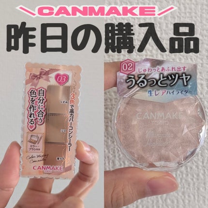 カラーミキシングコンシーラー/キャンメイク/パレットコンシーラーを使ったクチコミ(1枚目)