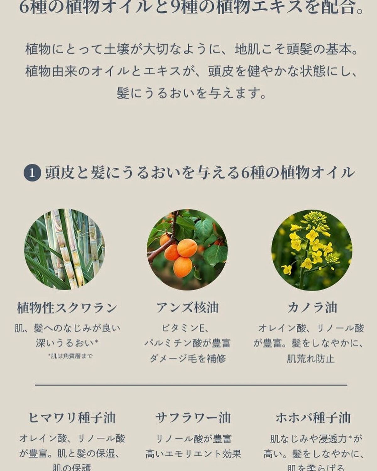 スキャルプ&ヘアオイル/Waphyto/ヘアオイルを使ったクチコミ(6枚目)