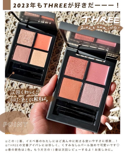 ディメンショナルビジョンアイパレット/THREE/アイシャドウパレットを使ったクチコミ(9枚目)