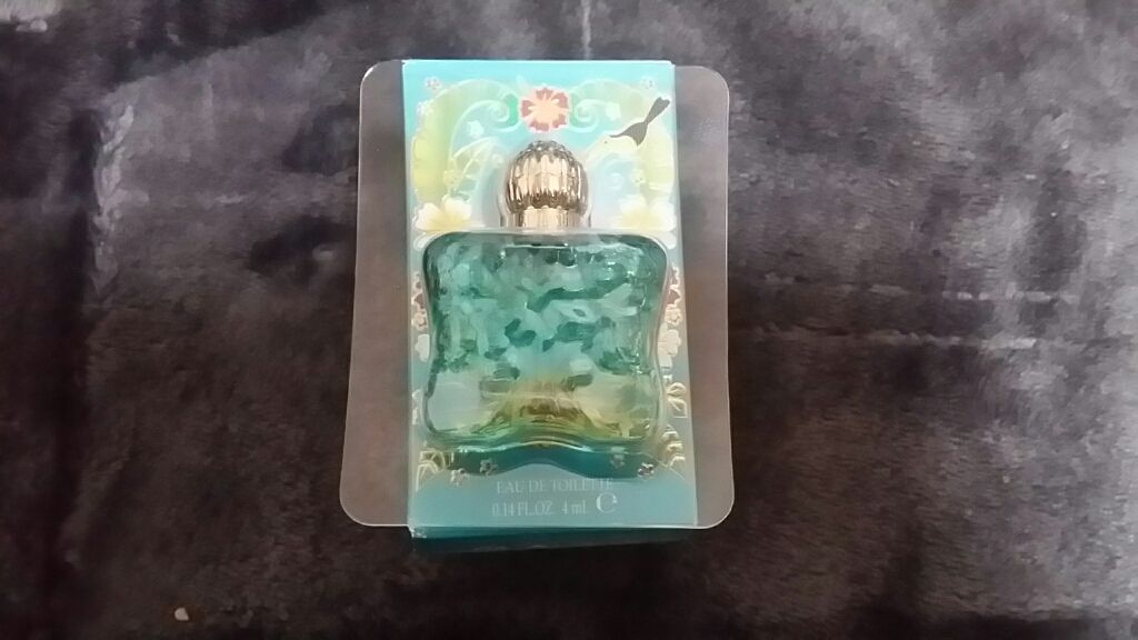 ANNA SUI ミニチュア ポーチコレクションのクチコミ「アナスイミニ香水第二弾！！
まぁこんな感じで集めてました！！

これしまうのメンドイな（笑）
.....」（3枚目）