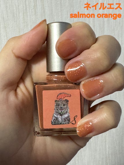 ネイルエス/ nail S(ネイルエス) /マニキュアを使ったクチコミ(1枚目)