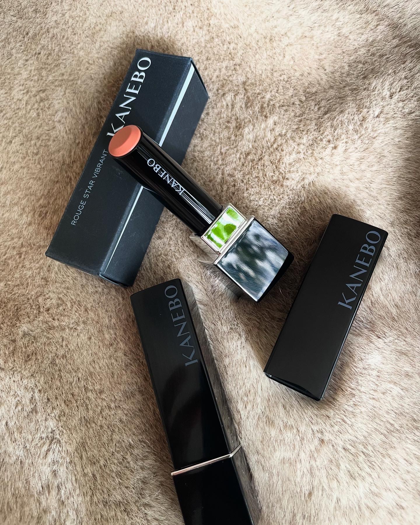 ルージュスターヴァイブラント V11 Quiet Beat/KANEBO/口紅を使ったクチコミ（1枚目）