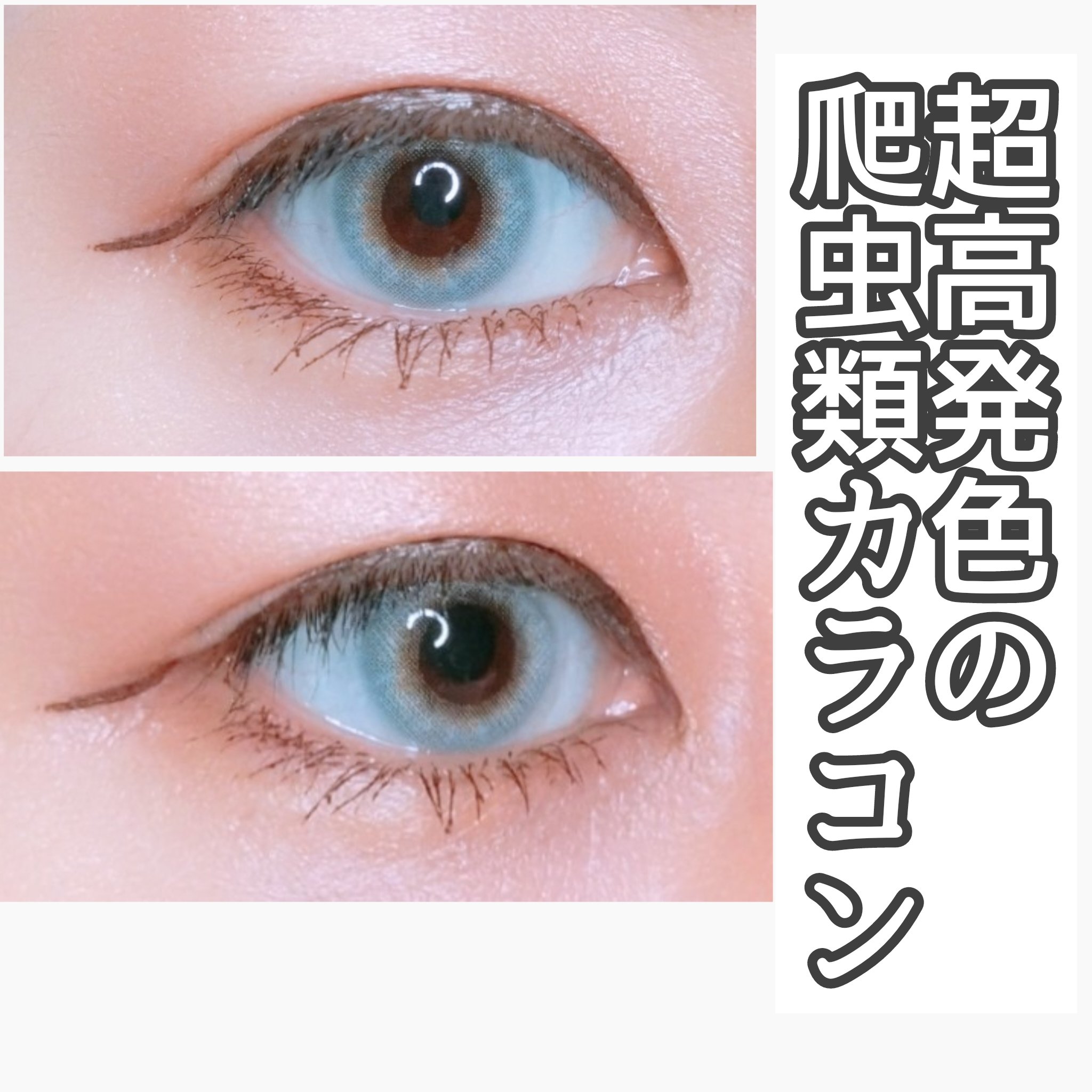 GAL NEVER DIE 1Day NEVER DIE (ネバーダイ) /GAL NEVER DIE/ワンデー（１DAY）カラコンを使ったクチコミ（2枚目）