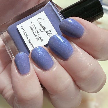 Coeur de Fleur Nail Color/Causette.Joli/マニキュアを使ったクチコミ（2枚目）