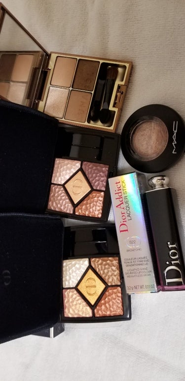 サンク クルール<ワイルド アース＞/Dior/アイシャドウパレットを使ったクチコミ（1枚目）