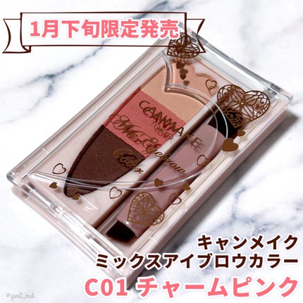 ミックスアイブロウカラー C01 チャームピンク/キャンメイク/パウダーアイブロウを使ったクチコミ(2枚目)