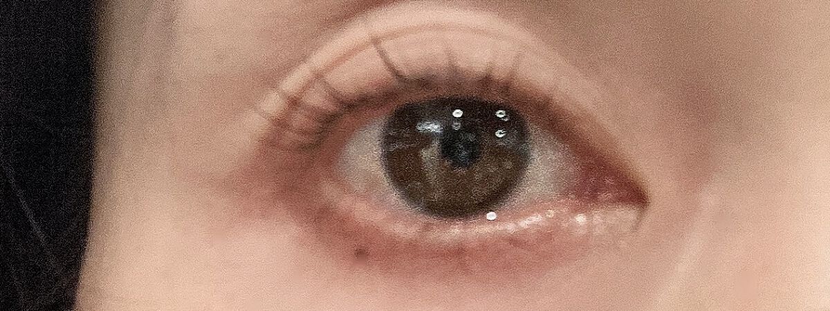 エグータム/アルマダスタイル/まつげ美容液を使ったクチコミ（1枚目）