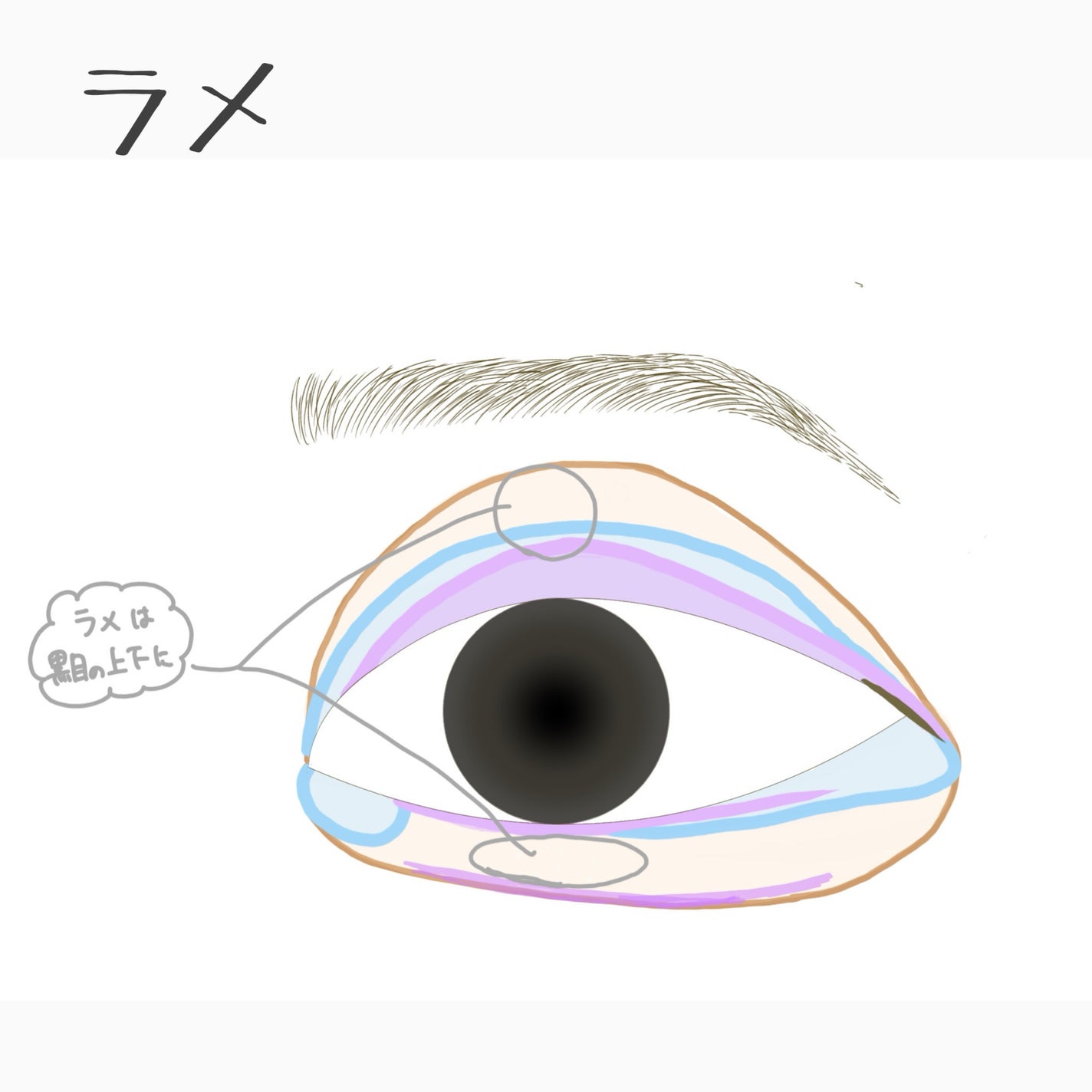 メイクブラシ 馬毛/DAISO/その他化粧小物を使ったクチコミ(6枚目)