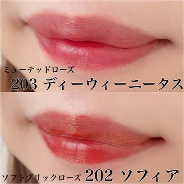 Dinto ブラーフィニシュリップティントのクチコミ「Dinto
BLUR-FINISH LIP TINT💄

深みのある発色が秋冬使える感じです😍.....」（2枚目）