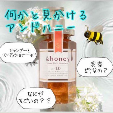 EXディープモイスト ヘアオイル3.0/&honey/ヘアオイルを使ったクチコミ（1枚目）