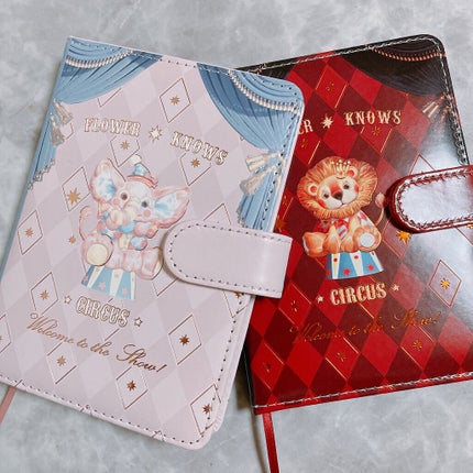 サーカスシリーズ グラデーションブラッシュ /FlowerKnows/パウダーチークを使ったクチコミ(4枚目)