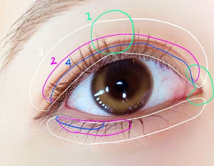 アイカラーレーション/LUNASOL/アイシャドウパレットを使ったクチコミ(3枚目)