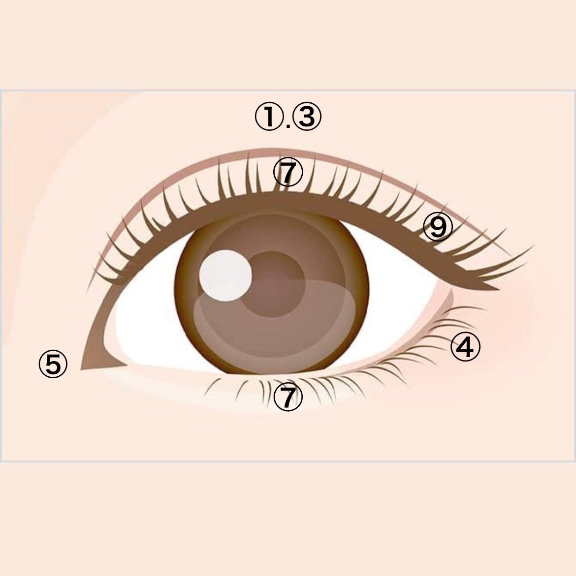 ムードオンアイシャドウ/Lilytone/アイシャドウパレットを使ったクチコミ(2枚目)