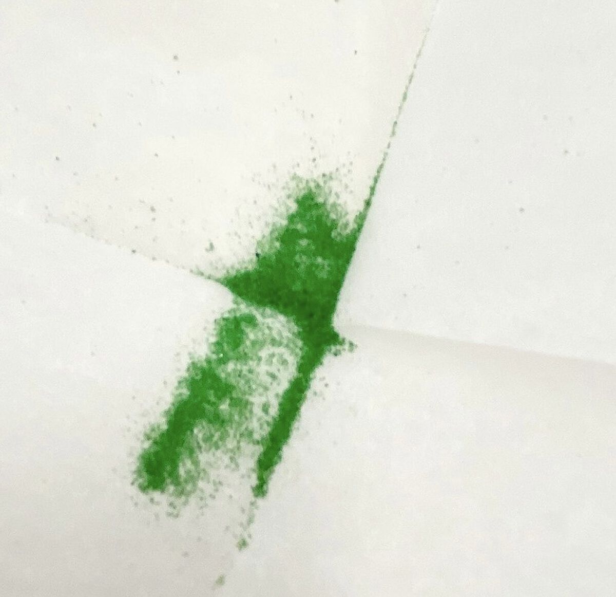 バスロマン 森林温浴/バスロマン/入浴剤を使ったクチコミ（3枚目）