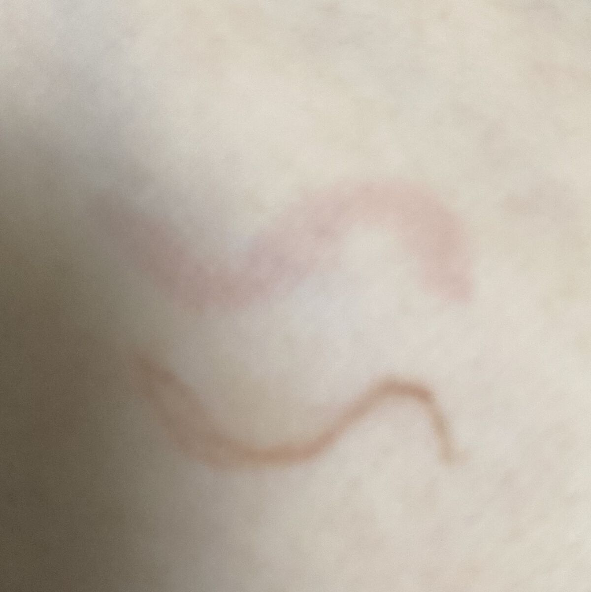 超細芯アイブロウ/CEZANNE/アイブロウペンシルを使ったクチコミ（2枚目）