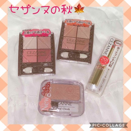 ニュアンスオンアイシャドウ/CEZANNE/アイシャドウパレットを使ったクチコミ(4枚目)