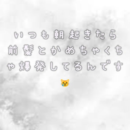 を使ったクチコミ(2枚目)