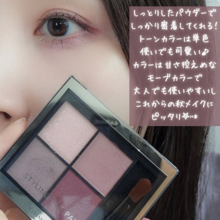 キスミー フェルム スタイリングアイパレット/キスミー フェルム/アイシャドウパレットを使ったクチコミ(9枚目)