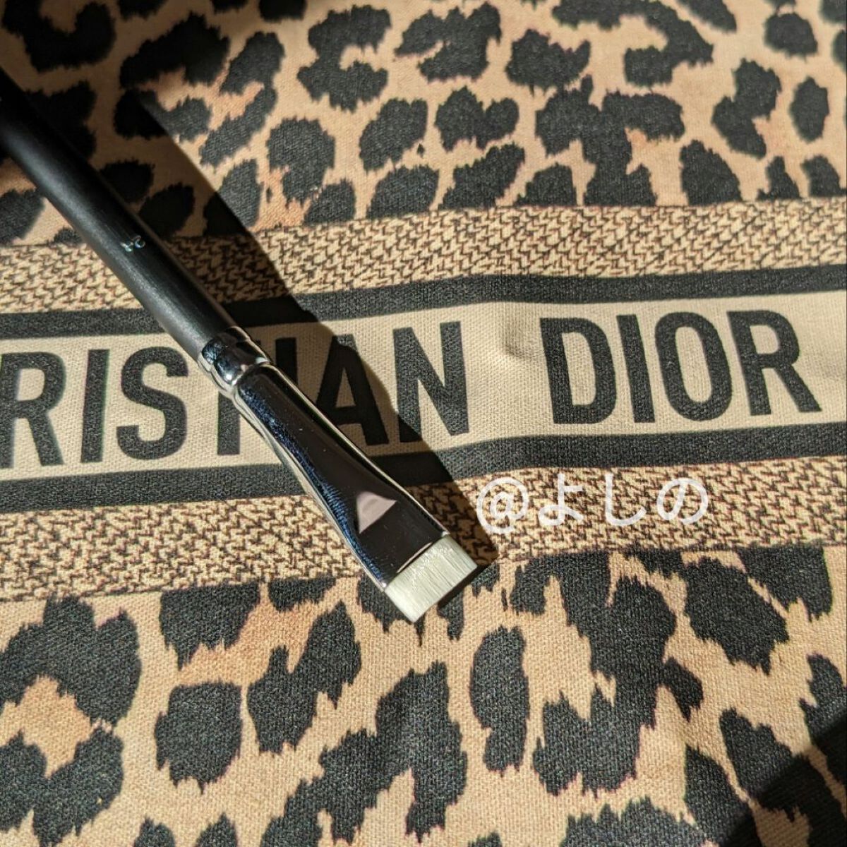 Dior ディオールスキン ルージュ ブラッシュ 290 新宿伊勢丹限定