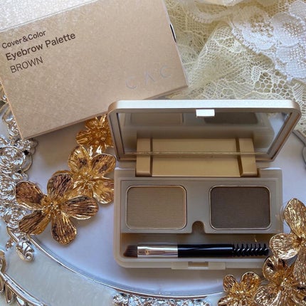 アイブロウパレット /CAC/パウダーアイブロウを使ったクチコミ(9枚目)