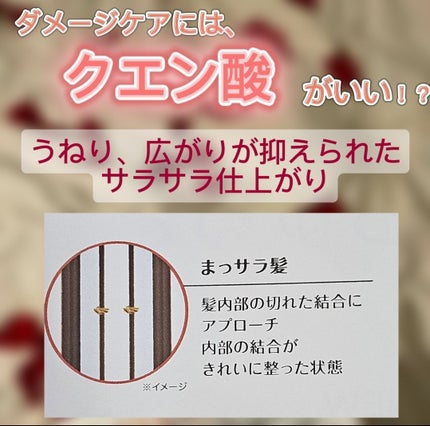 ãã¬ã¢ã« ã㪠ãã³ã ãªã㢠ã·ã£ã³ããŒïŒã³ã³ãã£ã·ã§ããŒ/ãã¬ã¢ã« ããª/åžè²©ã·ã£ã³ããŒã䜿ã£ãã¯ãã³ãïŒ5æç®ïŒ