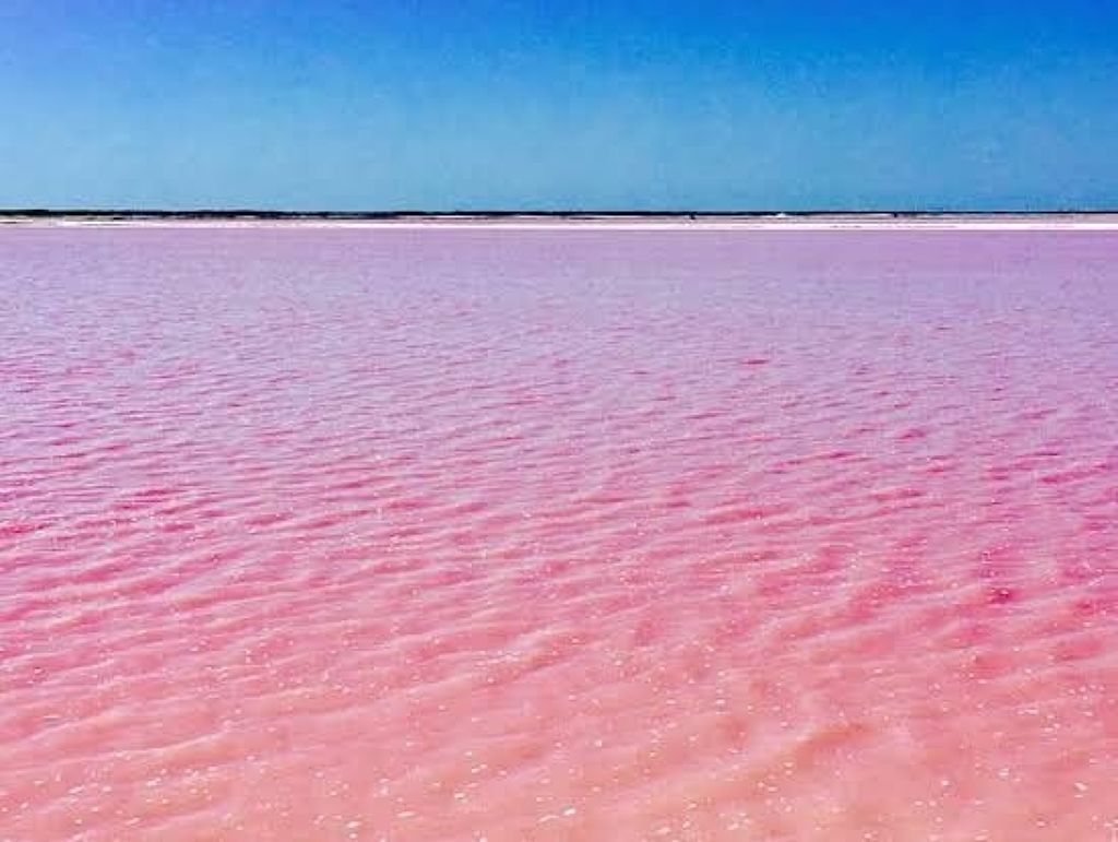 天然こんにゃくパフ/DAISO/その他スキンケアグッズを使ったクチコミ(2枚目)