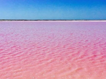 天然こんにゃくパフ/DAISO/その他スキンケアグッズを使ったクチコミ(2枚目)