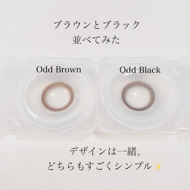 キッチュリング ワンデー(Kitsch Ring 1day) オッドブラウン/OLOLA/ワンデー（１DAY）カラコンを使ったクチコミ（3枚目）