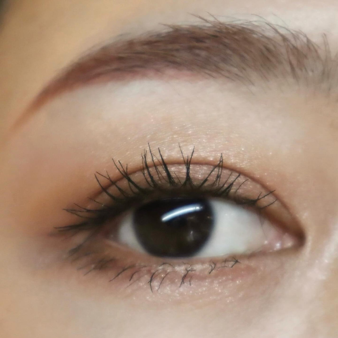 コントゥアリング アイシャドウ/DECORTÉ/アイシャドウパレットを使ったクチコミ(6枚目)