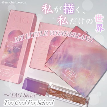 TAG WONDERLAND EYE PALETTE/too cool for school/アイシャドウパレットを使ったクチコミ（1枚目）