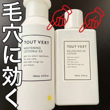 薬用ホワイトニングローションα EX/TOUT VERT/化粧水の画像