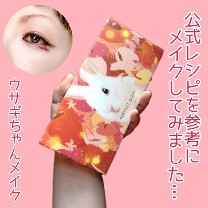 エクスプローラ12色 動物アイシャドウパレット/PERFECT DIARY/アイシャドウパレットを使ったクチコミ(1枚目)