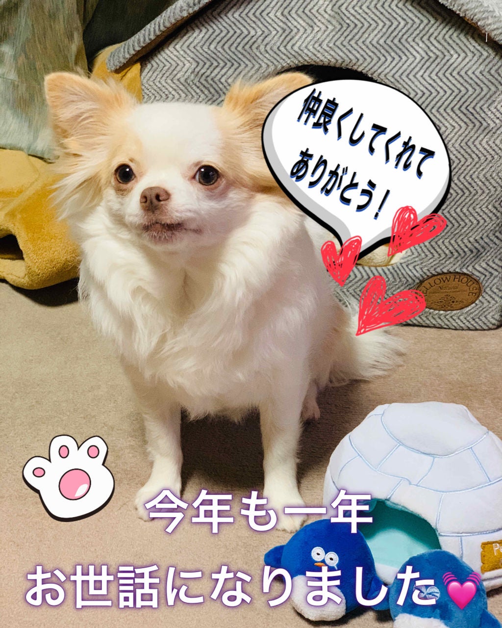 ひろろん on LIPS 「2019/平成〜令和今年も一年ありがとうございました🙇♀️💕..」(1枚目)