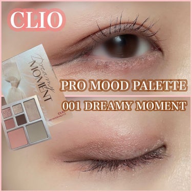 プロ ムード パレット 01 DREAMY MOMENT/CLIO/アイシャドウパレットを使ったクチコミ（1枚目）