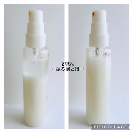 メイクアップフィニッシング ミストe/IPSA/ミスト状化粧水を使ったクチコミ(2枚目)