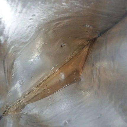 マグワートリリーフ フェイスマスク/aniina me/シートマスク・パックを使ったクチコミ(6枚目)