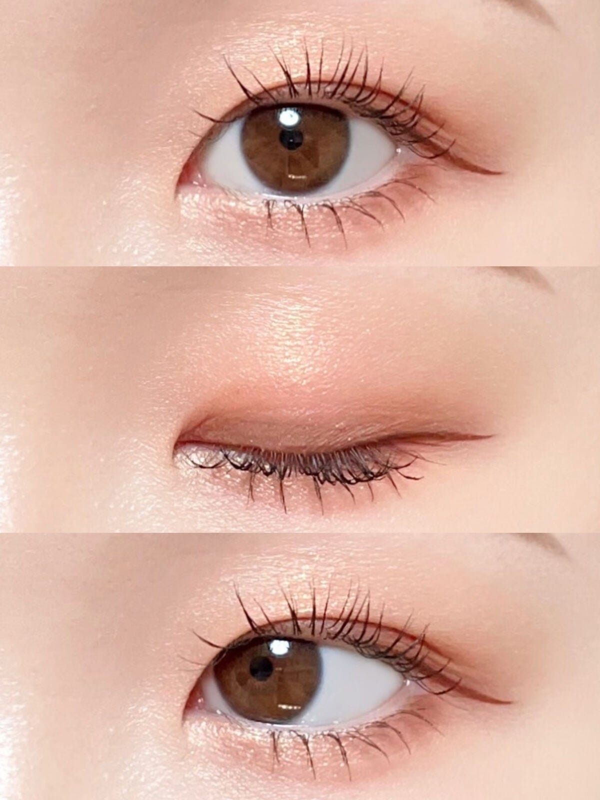 秋秋︎︎ on LIPS 「\Qoo10で購入した貝殻アイシャドウ‼️めちゃくちゃ可愛いプ..」(7枚目)