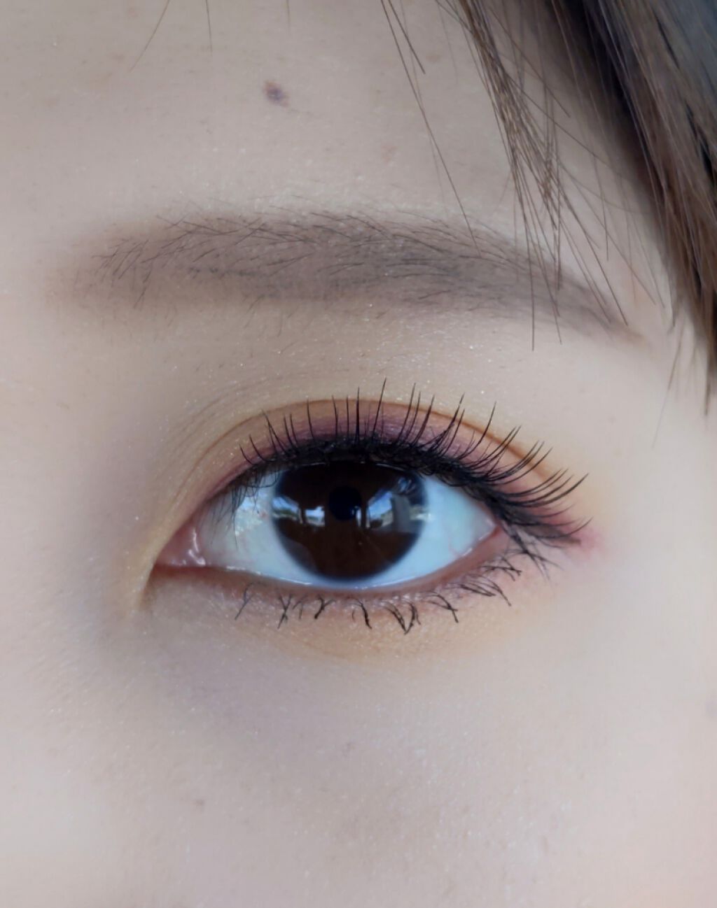 デザイニング カラー アイズ/SUQQU/アイシャドウパレットを使ったクチコミ（2枚目）