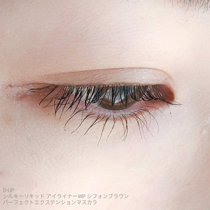 シルキーリキッドアイライナーWP/D-UP/リキッドアイライナーを使ったクチコミ(3枚目)